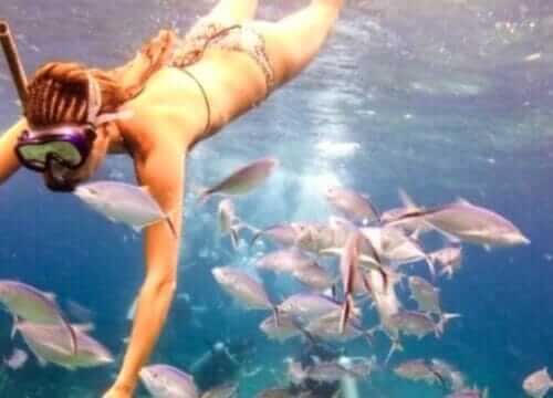 Reliable Full-day Tours and Adventures in Punta Cana | Marvi Tour 2025