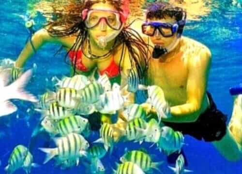 Reliable Full-day Tours and Adventures in Punta Cana | Marvi Tour 2025