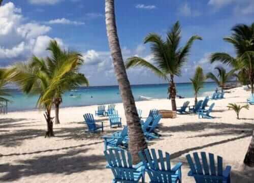 Reliable Full-day Tours and Adventures in Punta Cana | Marvi Tour 2025