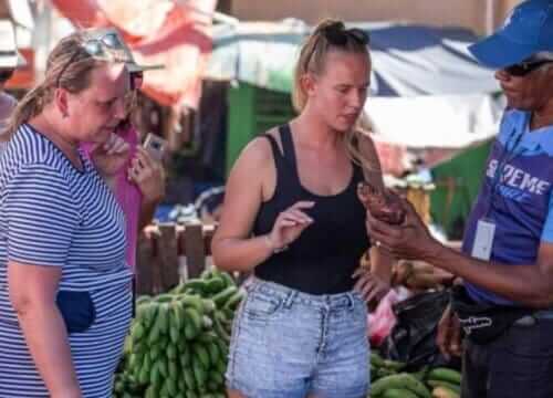 Unforgettable Tours & Transfers | Dominican Dream Vacation - Discover the Dominican Republic 2025