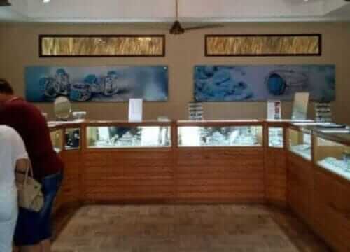 Reliable Full-day Tours and Adventures in Punta Cana | Marvi Tour 2025