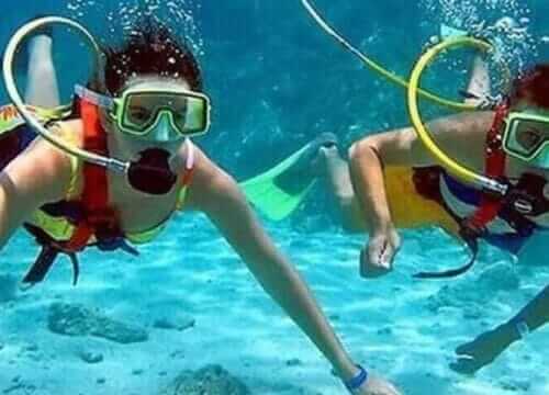 Unforgettable Tours & Transfers | Dominican Dream Vacation - Discover the Dominican Republic 2025
