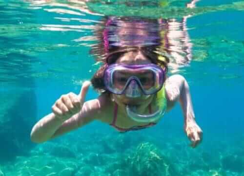 Unforgettable Tours & Transfers | Dominican Dream Vacation - Discover the Dominican Republic 2025
