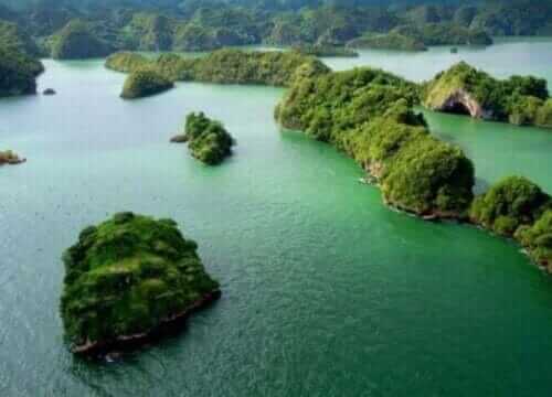 Unforgettable Tours & Transfers | Dominican Dream Vacation - Discover the Dominican Republic 2025