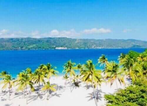 Unforgettable Tours & Transfers | Dominican Dream Vacation - Discover the Dominican Republic 2025