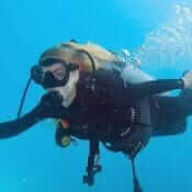 Reliable Full-day Tours and Adventures in Punta Cana | Marvi Tour 2025