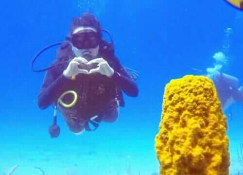 Reliable Full-day Tours and Adventures in Punta Cana | Marvi Tour 2025