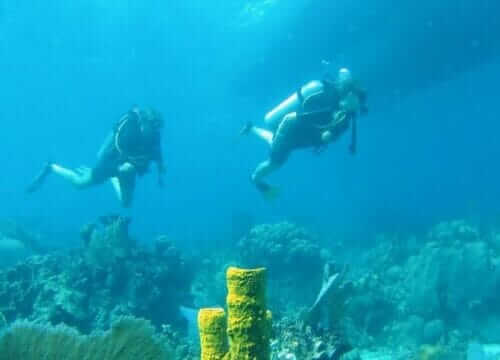 Reliable Full-day Tours and Adventures in Punta Cana | Marvi Tour 2025