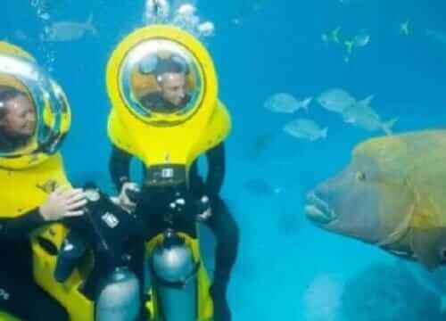 Scuba Doo Diving Scooters | Unforgettable Tours & Transfers | Dominican Dream Vacation - Discover the Dominican Republic 2025