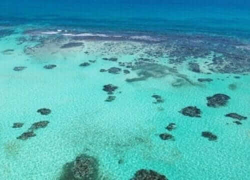 Reliable Full-day Tours and Adventures in Punta Cana | Marvi Tour 2025