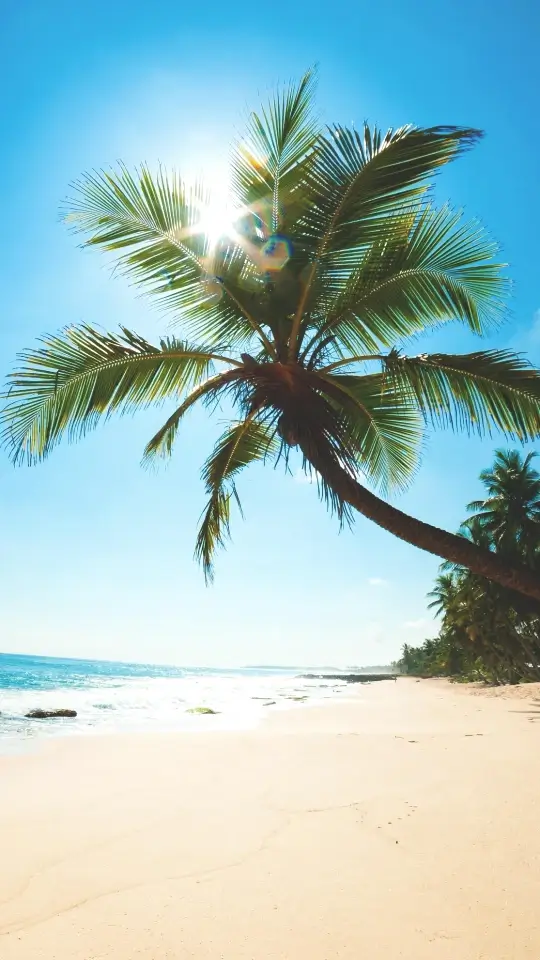 Punta Cana